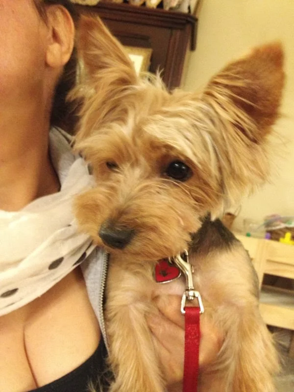Chloe looking toward the camera in an early family photograph